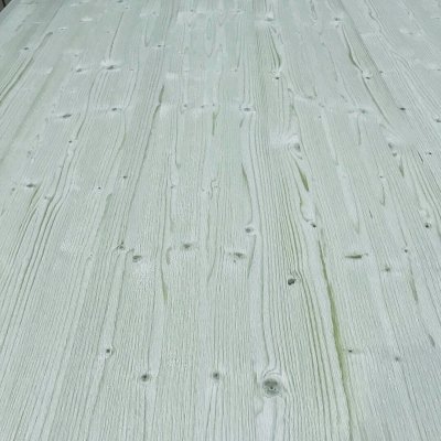 Ladin Panel